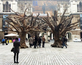 Trees at the entrance